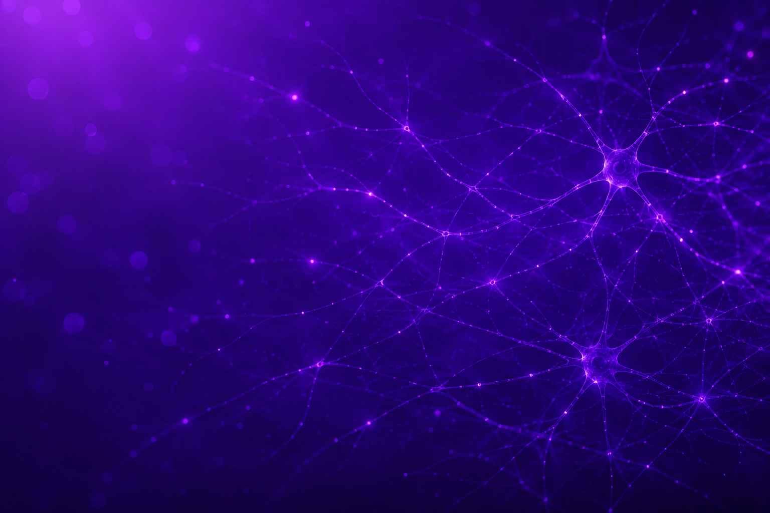 Neural network